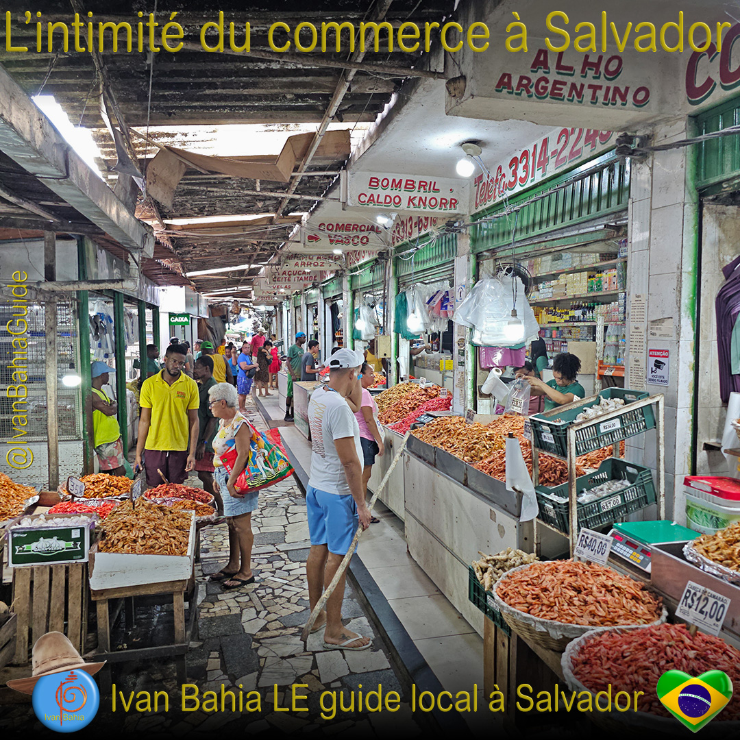 Forte de São Marcello in Salvador da Bahia, à dévouvrir avec Ivan Bahia Guide @ivanbahiaguide #IvanBahiaGuide #IvanSalvadorGuide #Bresil #BresilEssentiel  #SalvadorGuide #BahiaFotoguidebresil #FernandoBingreTourGuide #VoyageBahia #VoyagerAuBresil #IBG #GuideDeTourismeSalvadorBahiaBresil